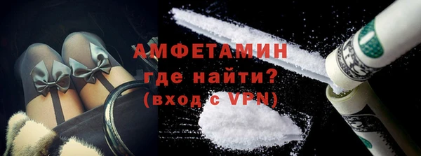 индика Алексин