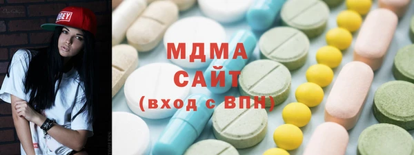 индика Алексин