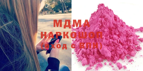 индика Алексин