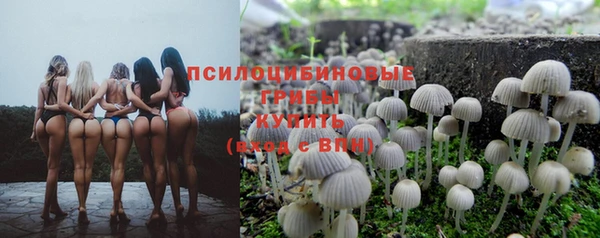 соль ск Алзамай