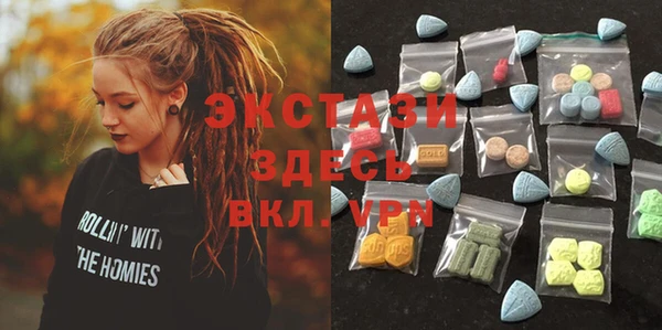 индика Алексин