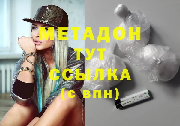 индика Алексин