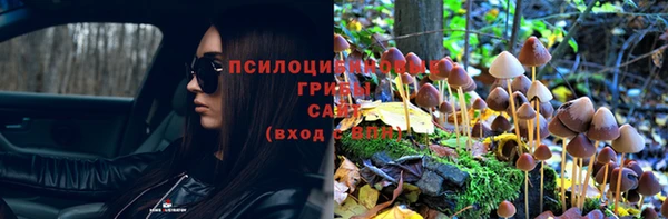 соль ск Алзамай