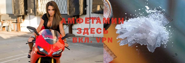 индика Алексин